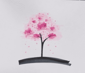 唯美的櫻花樹簡筆畫步驟