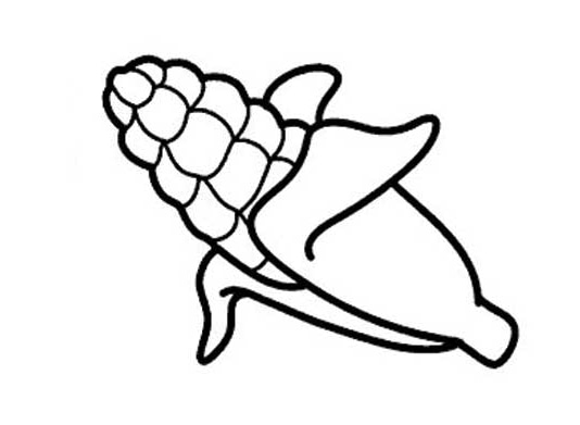 玉米兒童簡筆
