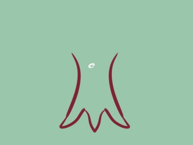 簡單的大樹<a href=http://www.inspiredelm.com/jianbihua/ target=_blank class=infotextkey>簡筆畫</a>圖片怎么畫