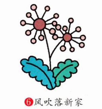 蒲公英簡筆簡易教程