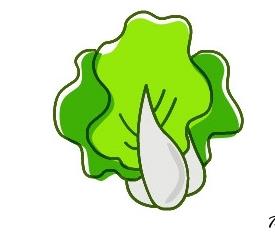 大白菜的簡筆畫畫法步驟圖解