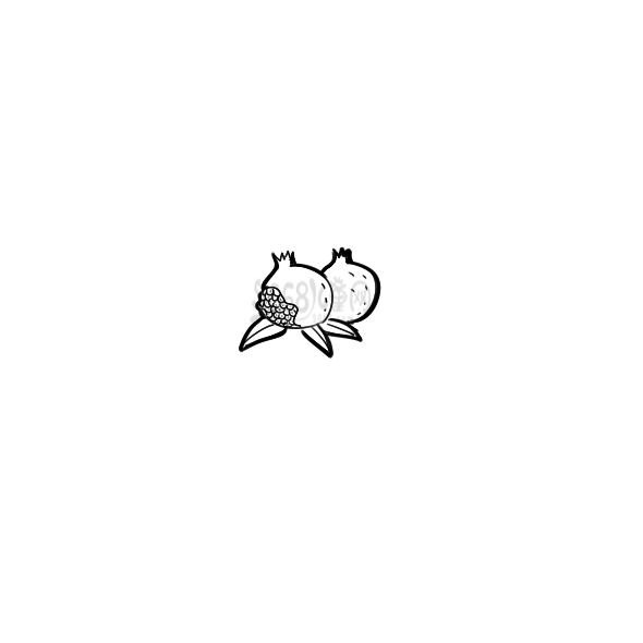 石榴簡(jiǎn)筆畫(huà)怎么畫(huà)？