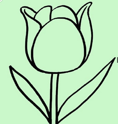 郁金香幼兒簡筆