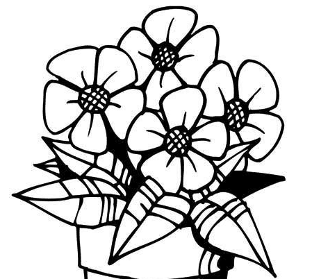 盛開的花朵簡筆圖片