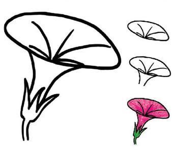 牽牛花植物簡筆