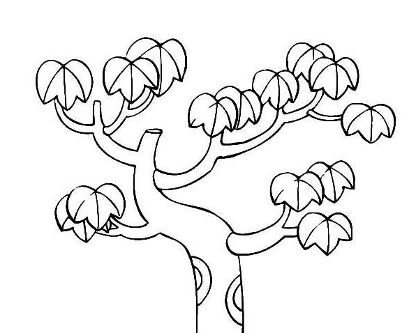 植物大樹兒童簡筆