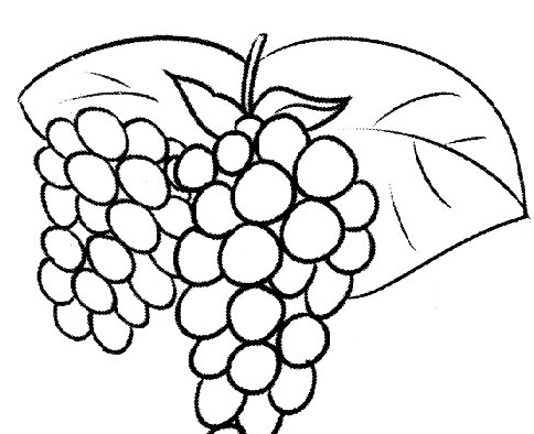 串串葡萄簡筆