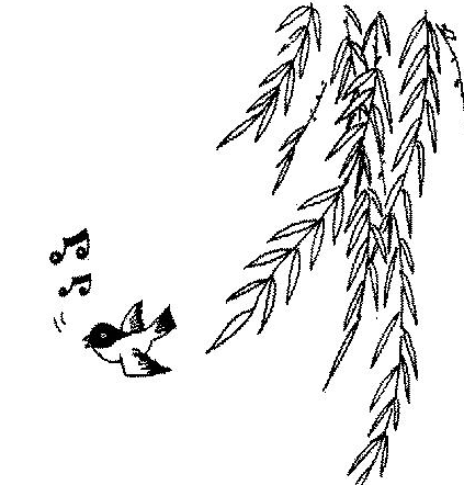 柳樹植物兒童簡筆