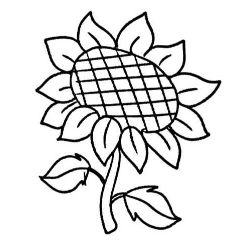 太陽(yáng)花兒童簡(jiǎn)筆