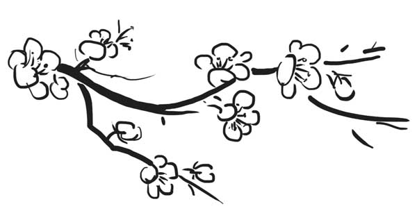 梅花植物兒童簡(jiǎn)筆