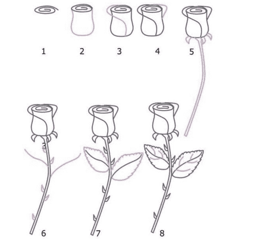 5種簡單玫瑰花簡筆 畫法
