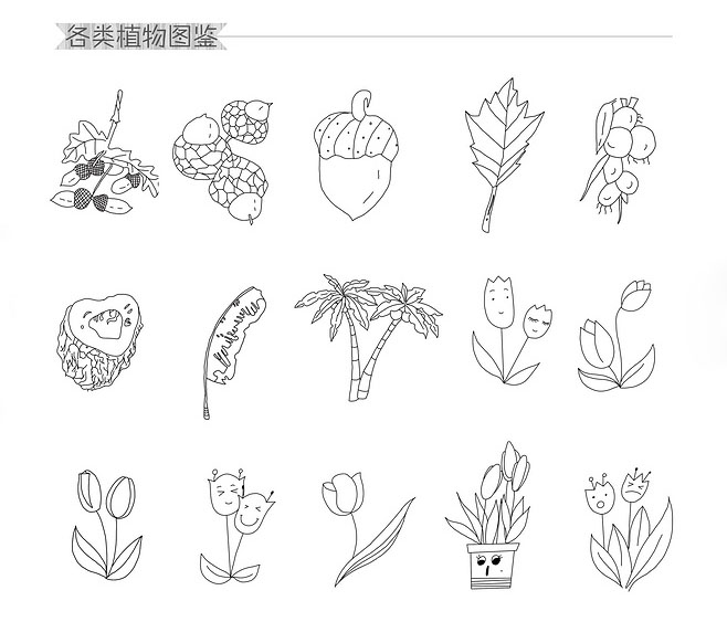 兒童植物簡筆畫，各種植物簡筆畫圖鑒