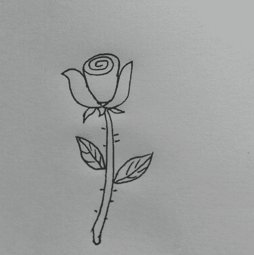 玫瑰花手繪<a href=http://www.inspiredelm.com/jianbihua/ target=_blank class=infotextkey>簡筆畫</a>步驟
