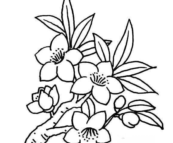 春天開的花朵簡(jiǎn)筆