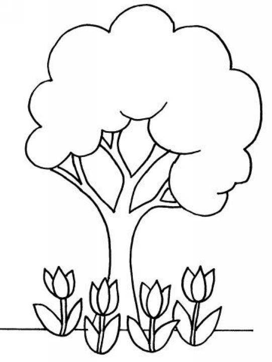 小樹<a href=http://www.inspiredelm.com/jianbihua/ target=_blank class=infotextkey>簡筆畫</a>