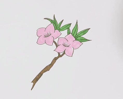 桃花簡(jiǎn)筆畫畫法步驟教程