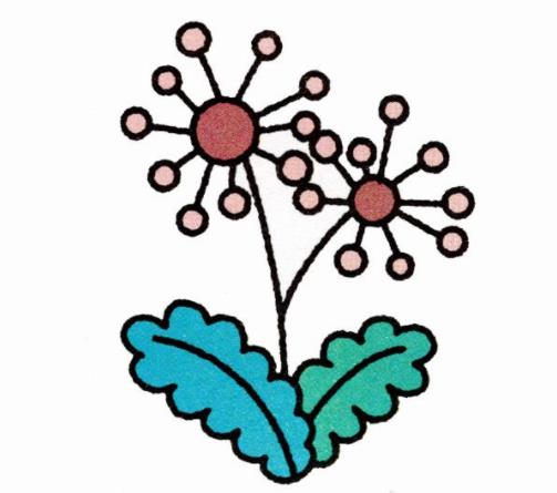 蒲公英簡筆畫簡易教程