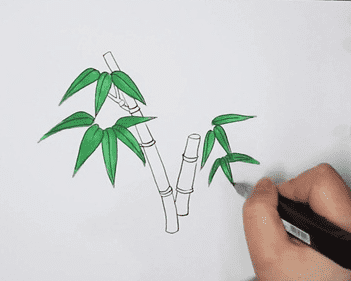 綠色竹子簡(jiǎn)筆步驟