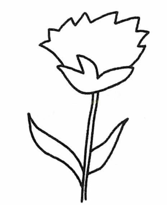 康乃馨幼兒簡(jiǎn)筆畫