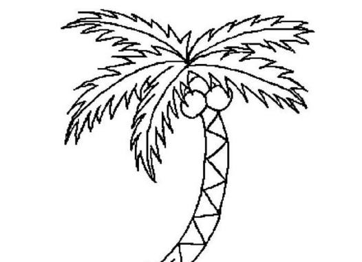 椰子樹幼兒植物簡筆