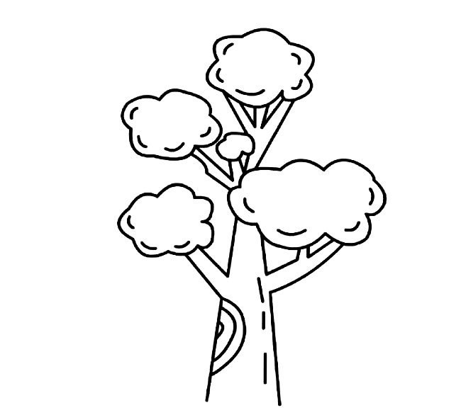 參天大樹(shù)植物<a href=http://www.inspiredelm.com/jianbihua/ target=_blank class=infotextkey>簡(jiǎn)筆畫</a>步驟圖片大全