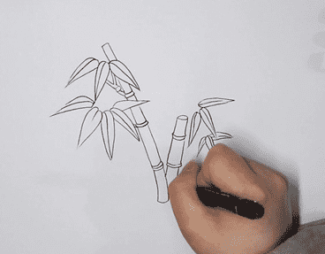 綠色竹子簡(jiǎn)筆步驟