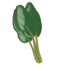 超簡(jiǎn)單的青菜簡(jiǎn)筆畫步驟圖