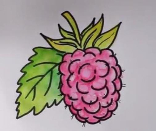 水果覆盆子簡筆畫步驟