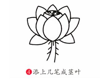 彩色荷花簡筆步驟