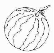 大大的西瓜植物簡(jiǎn)筆畫(huà)