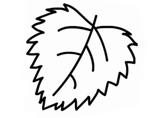 秋天的落葉簡(jiǎn)筆