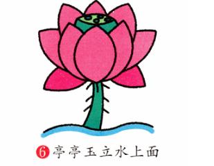 彩色荷花簡筆步驟