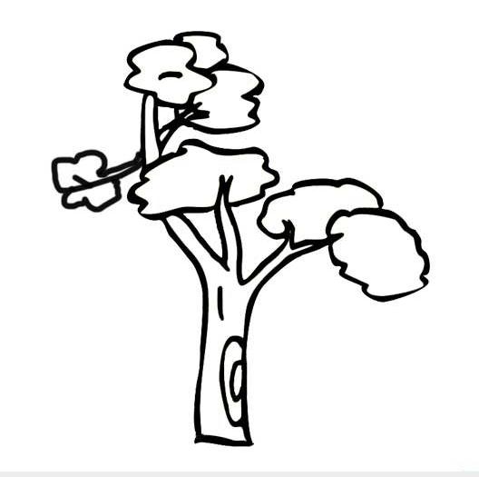 植物大樹(shù)兒童簡(jiǎn)筆畫