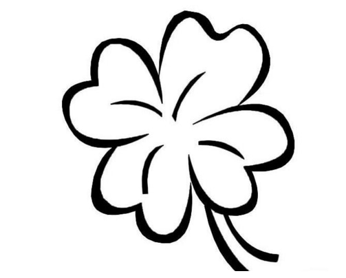 四葉幸運(yùn)草植物簡筆