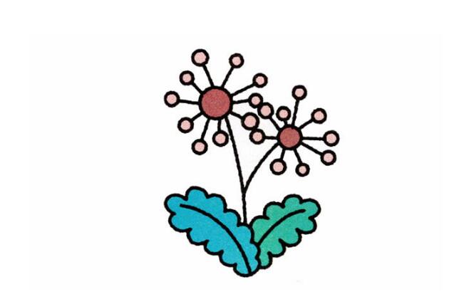蒲公英簡筆畫，幼兒簡筆畫