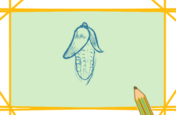 一根小玉米上色<a href=http://www.inspiredelm.com/jianbihua/ target=_blank class=infotextkey>簡筆畫</a>要怎么畫