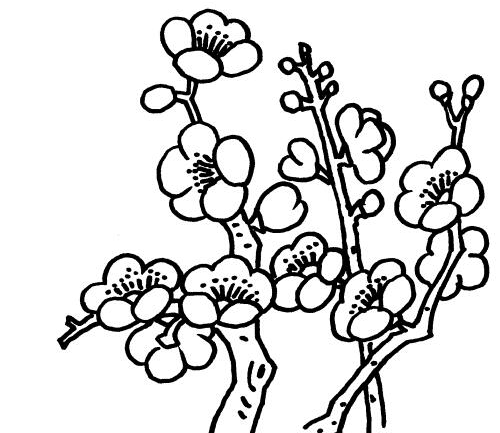 春天開的花朵簡(jiǎn)筆