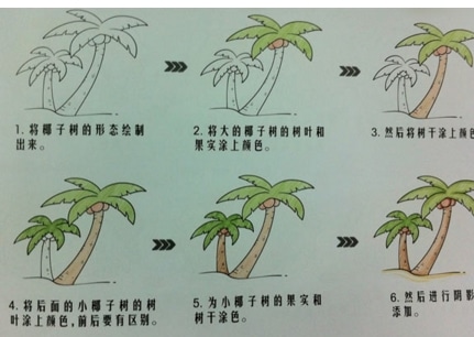 8種椰子樹(shù)簡(jiǎn)筆 畫(huà)法