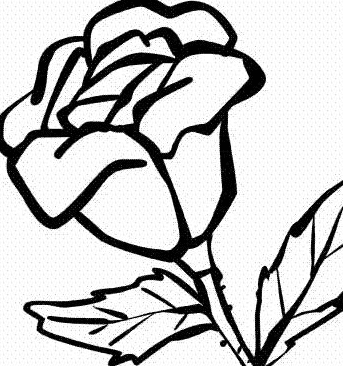 姿態(tài)萬(wàn)千的玫瑰花簡(jiǎn)筆