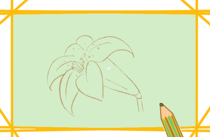 淡雅的百合花<a href=http://www.inspiredelm.com/jianbihua/ target=_blank class=infotextkey>簡筆畫</a>圖片怎么畫