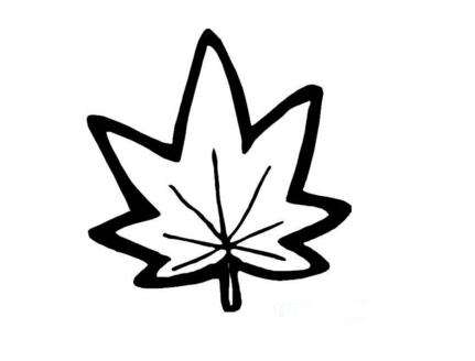 簡單漂亮的楓葉簡筆畫