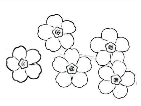 綻放的桃花簡(jiǎn)筆