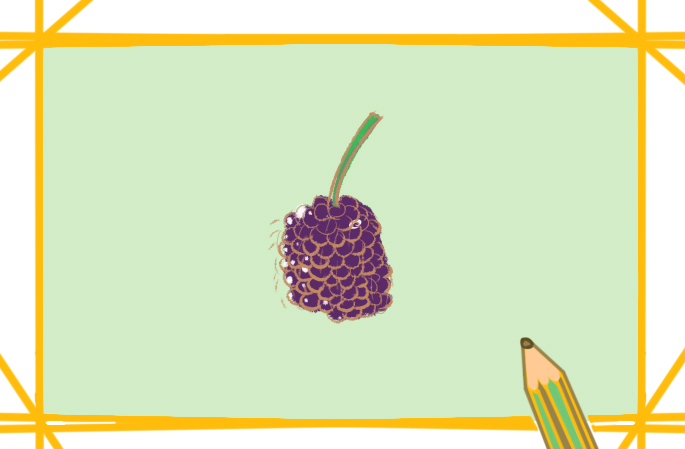 紫色的桑葚上色<a href=http://www.inspiredelm.com/jianbihua/ target=_blank class=infotextkey>簡(jiǎn)筆畫</a>要怎么畫