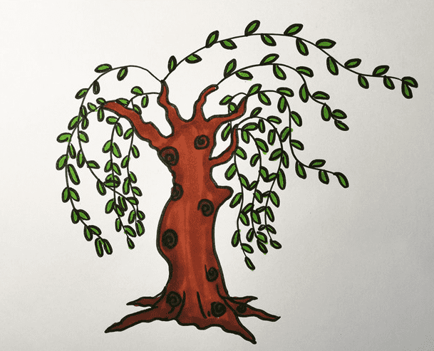 彩色的柳樹<a href=http://www.inspiredelm.com/jianbihua/ target=_blank class=infotextkey>簡筆畫</a>步驟