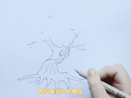 櫻花樹涂色簡筆步驟