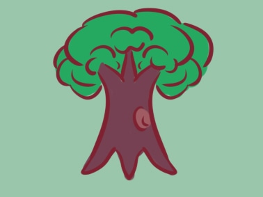 簡單的大樹<a href=http://www.inspiredelm.com/jianbihua/ target=_blank class=infotextkey>簡筆畫</a>圖片怎么畫