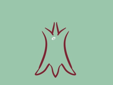 簡單的大樹<a href=http://www.inspiredelm.com/jianbihua/ target=_blank class=infotextkey>簡筆畫</a>圖片怎么畫