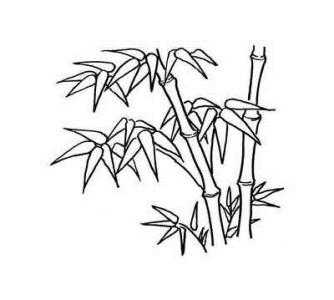 翠色欲滴的竹子簡筆