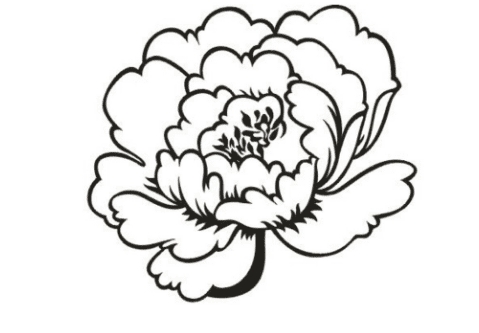 漂亮的牡丹花簡筆畫