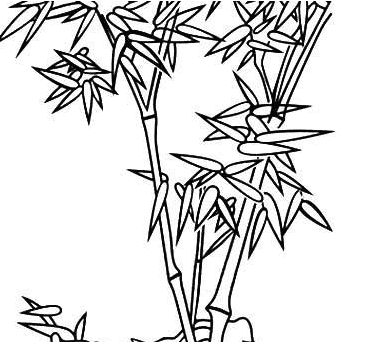 竹子植物簡(jiǎn)筆